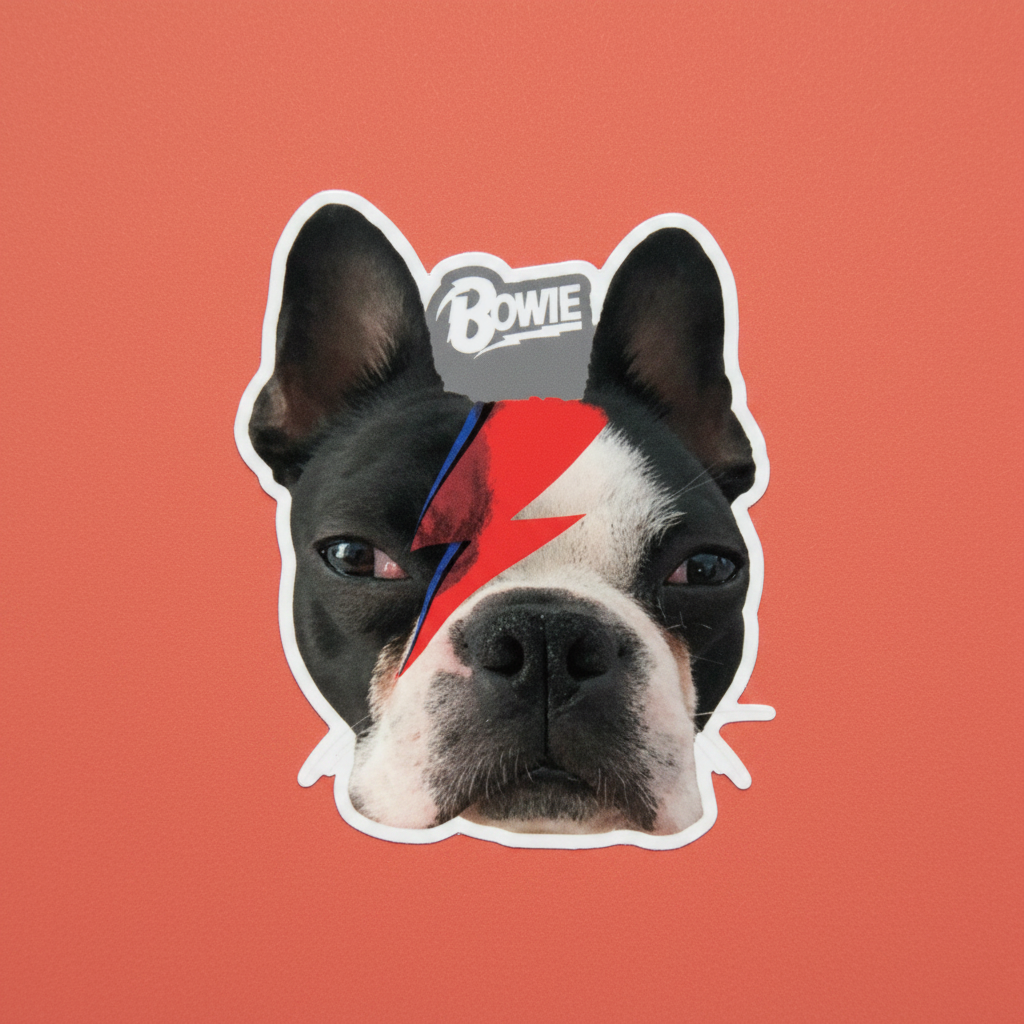 Die-Cut Stickers