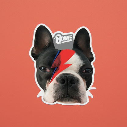 Die-Cut Stickers